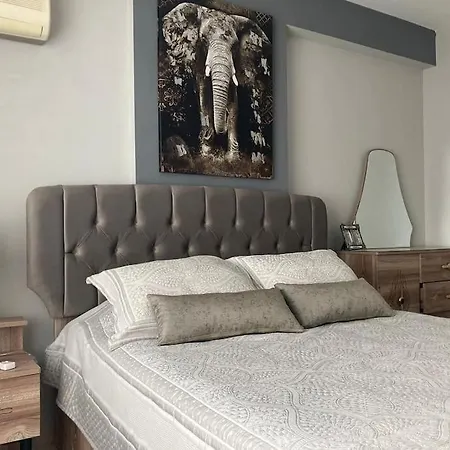 Apartament Orange *